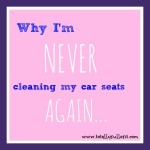 Why I’m Never Cleaning My Car Seats Again…